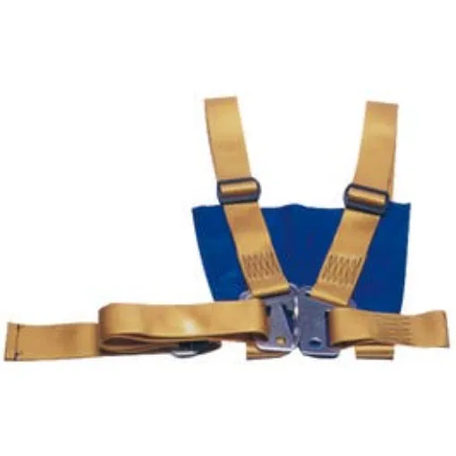 Picture of Adult Harness > 50 Kg