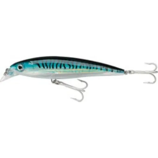 Picture of Rapala X-Rap Saltwater 100 Sbm Suspending Lure