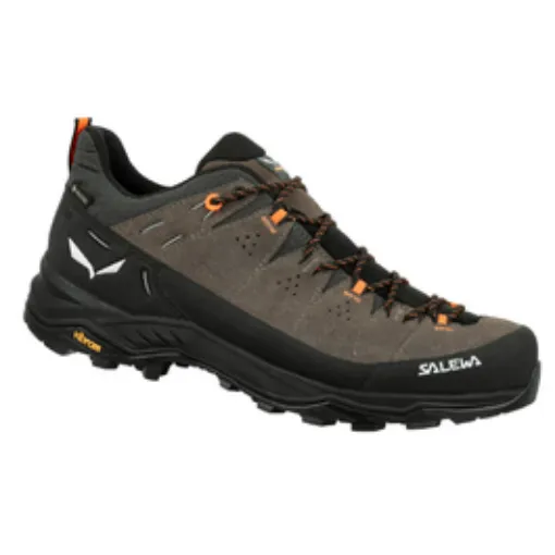 Picture of Salewa Alp Trainer 2 GTX Low Shoes