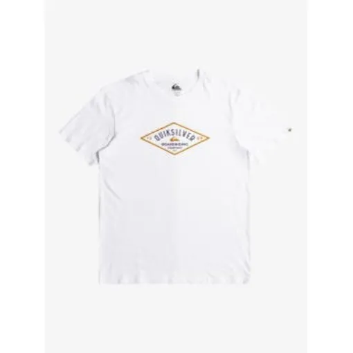 Picture of Qs Diamond Logo - Short Sleeve T-Shirt for Men Quiksilver