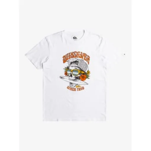 Picture of Qs Skull 69 - Short Sleeve T-Shirt for Men Quiksilver