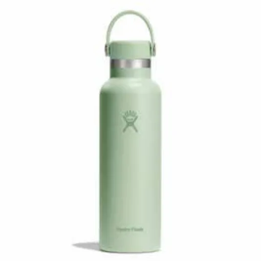 Picture of Hydro Flask 21 Oz Standard Flex Cap Insulated Bottle Aloe