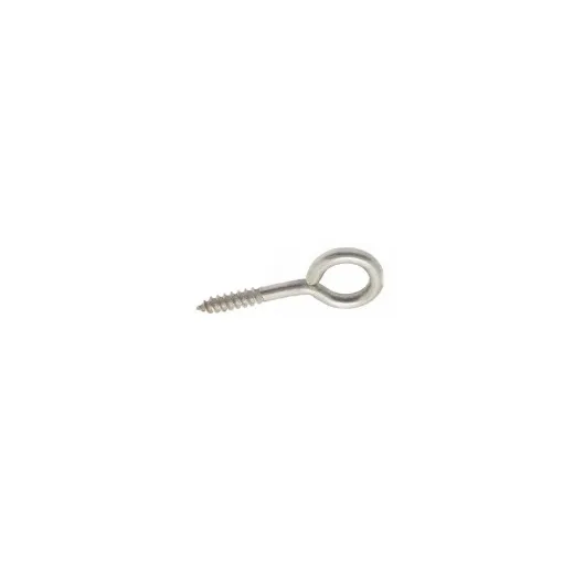 Bolt World - Wood Threaded Eye Bolt, A2 Stainless Steel - 52004.100.100 product image