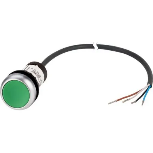 Eaton Pushbutton Actuator - 185607 C22-DR-G-K10-P62 product image