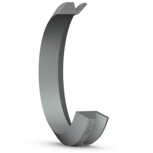 SKF Seal, 180mm ID, 195mm OD, 20.5mm - 199 VS R product image