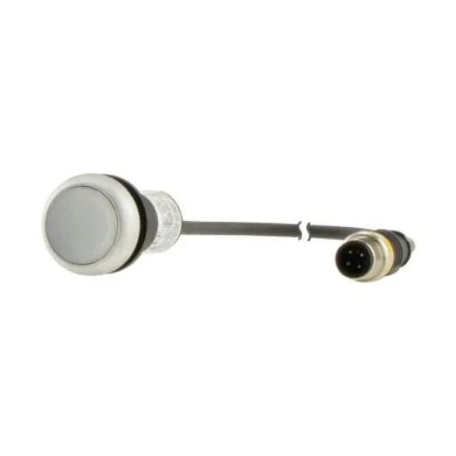 Eaton Pushbutton Actuator - 185556 C22-DL-W-K10-24-P1 product image