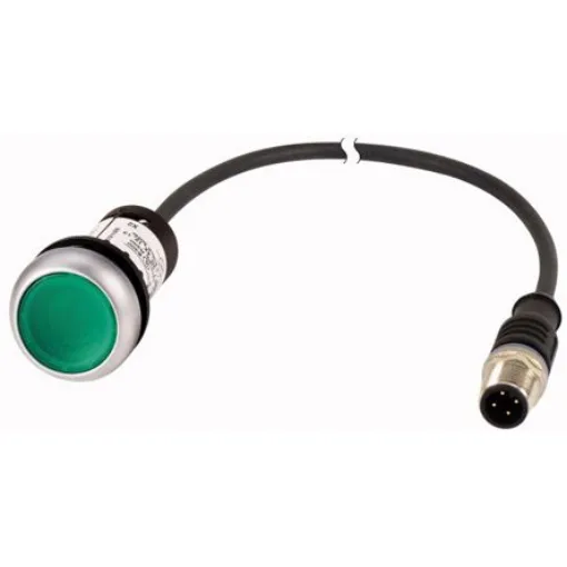 Eaton C22 Series Illuminated Push Button, Panel Mount, 22mm Cutout, SPST, IP67, IP69K - 181300 C22-DL-G-K10-24-P5 product image