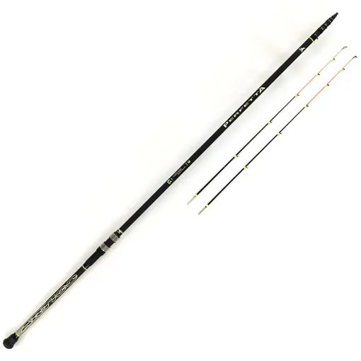 Picture of Perfect Action Rod 3 Hp | Artico