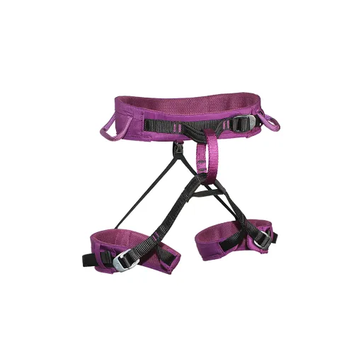 Picture of Virgo Harness | Armbury